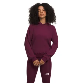 The North Face Chabot Hoodie Womens